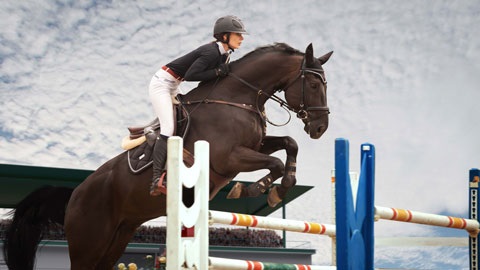 Showjumping
