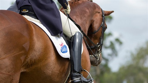 Queensland Horse Home Show