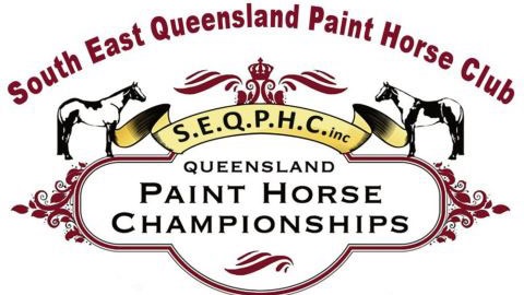 Paint Horse Championships