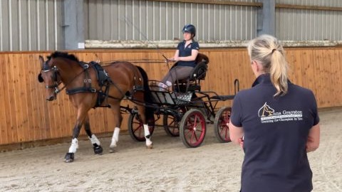 Carriage driving training