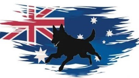 Australian flag with dog