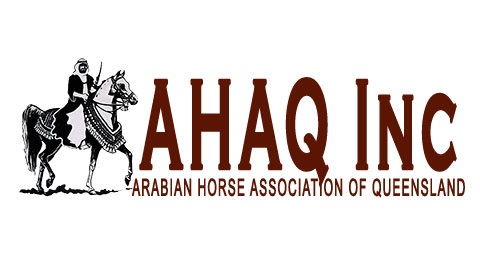 AHAQ Inc